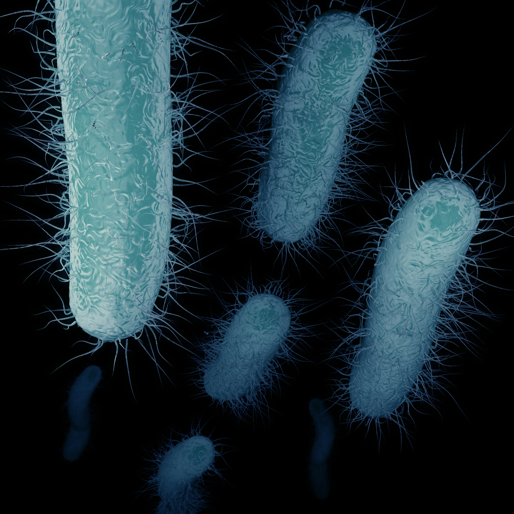 CRE bacteria. Image credit: Aunt Spray via Shutterstock.