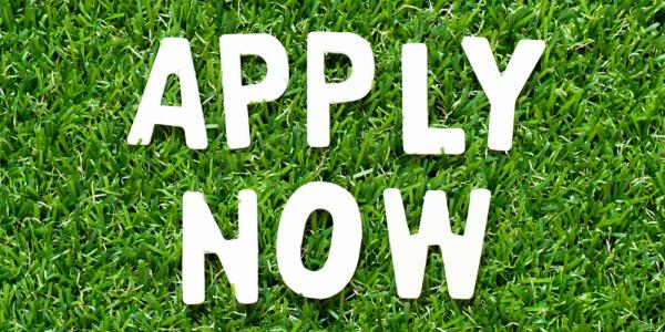 The words 'Apply now' in white letters lying on green grass. Image by Bankrx via Shutterstock.
