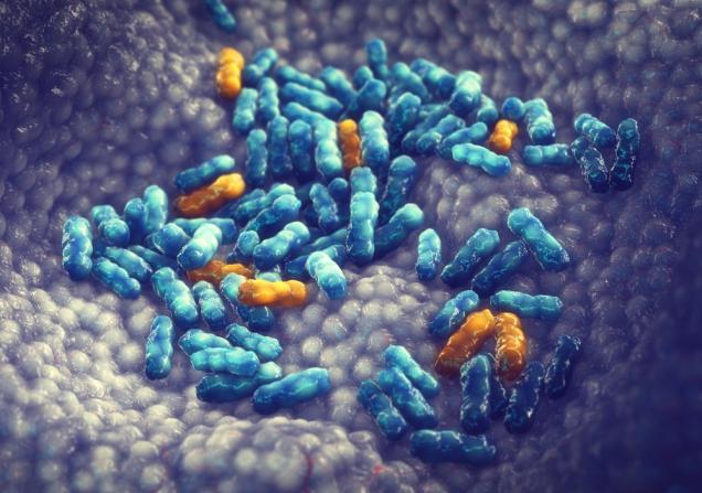 Antimicrobial resistance. Image credit: nobeastsofierce via Shutterstock.