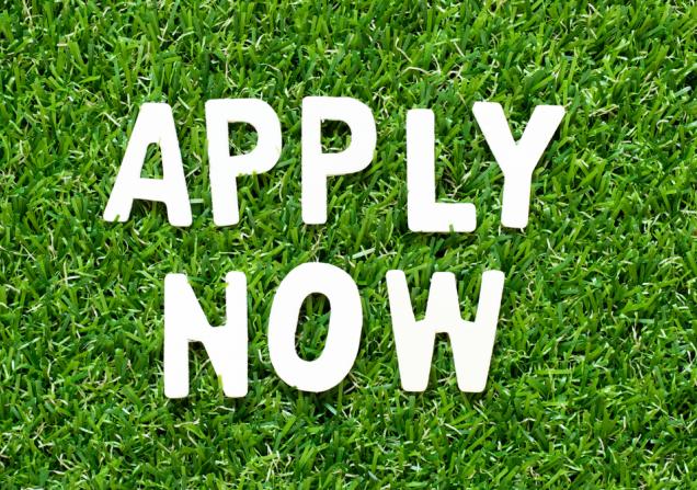 The words 'Apply now' in white letters lying on green grass. Image by Bankrx via Shutterstock.