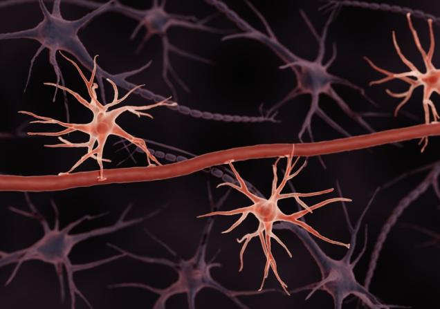 Visualisation of the blood-brain barrier. Image by ART-ur via Shutterstock