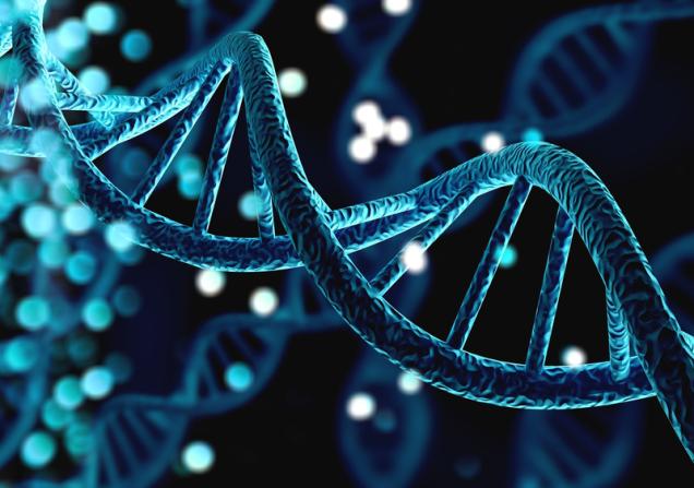 Illustration of a blue DNA helix. Image by Billion Photos via Shutterstock.