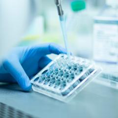Image by murat photographer via Shutterstock. A close-up of someone pipetting in a lab. Image by murat photographer via Shutterstock.